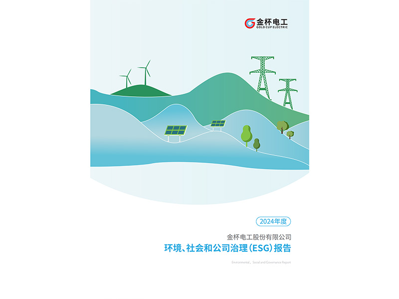 6008集团电工：2024年度情形、社会和公司治理（ESG）报告